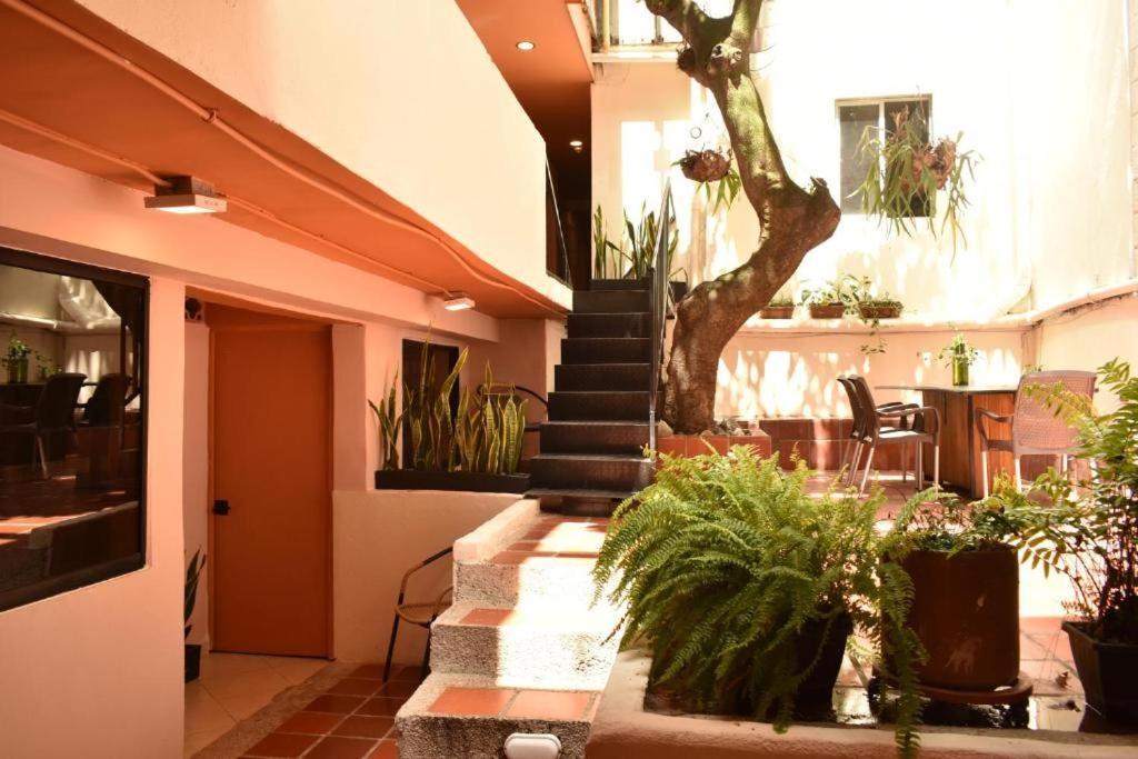 Hostal Casa Primavera Medellin Exterior photo